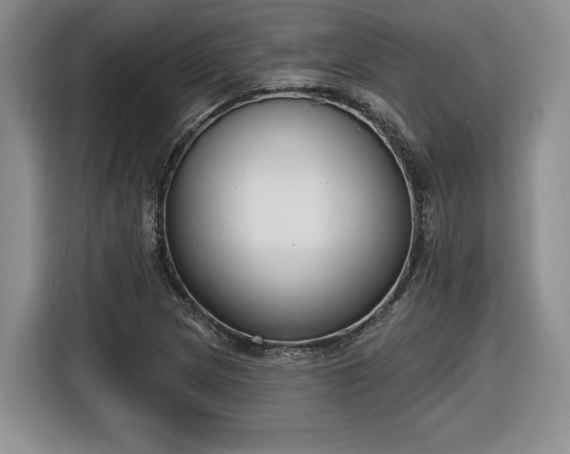 X0000116631217200912181318