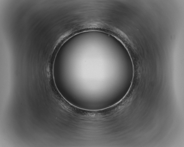 X0000116631218200912181318