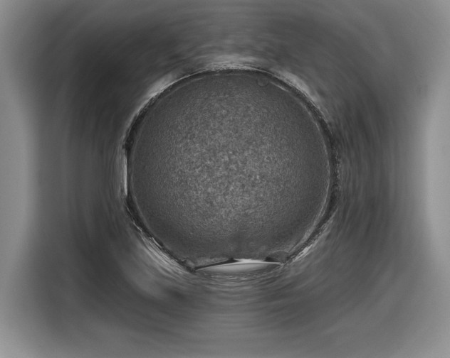 X0000116631219200912181318