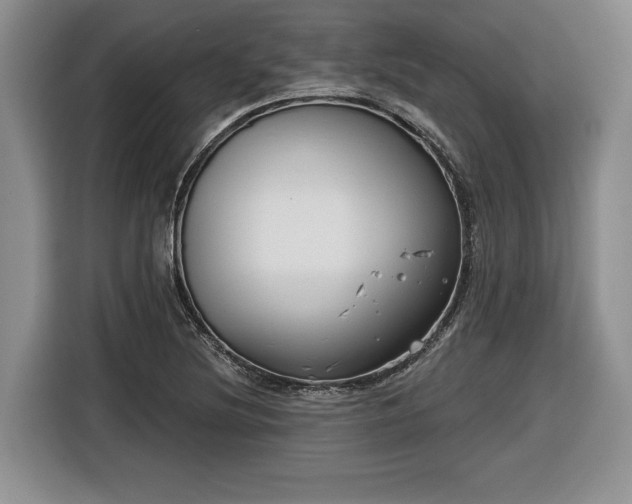 X0000116631220200912181318