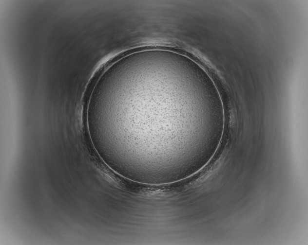 X0000116631222200912181318