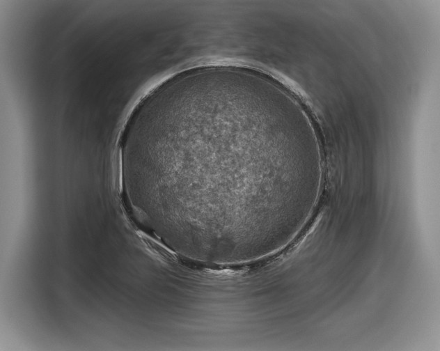 X0000116631223200912181318