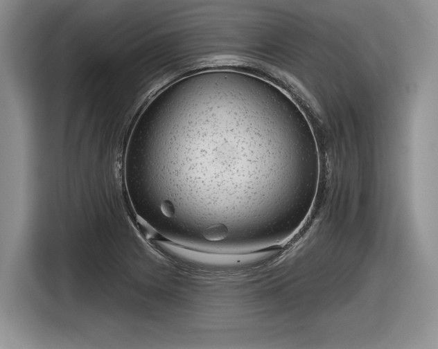 X0000116631225200912181318