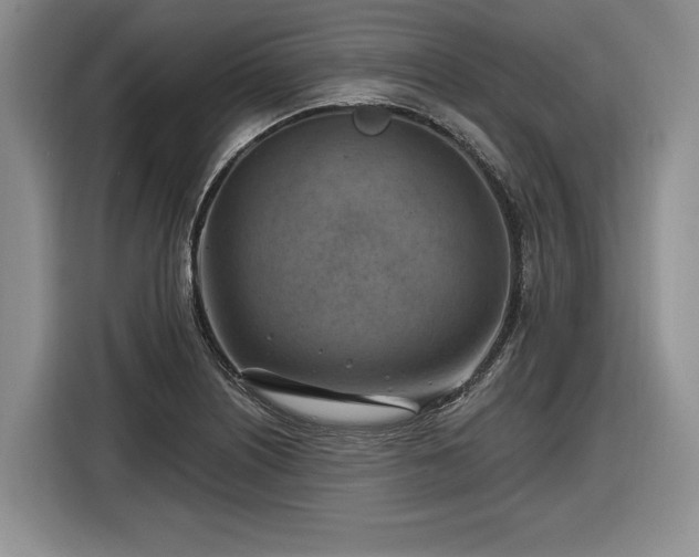 X0000116631226200912181318