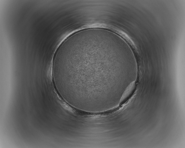 X0000116631228200912181318