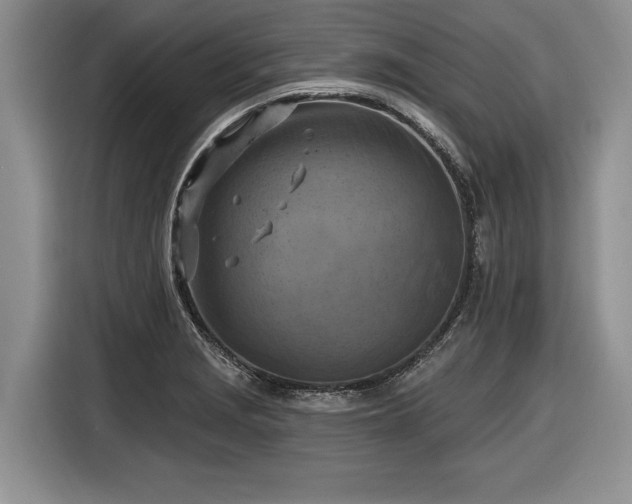 X0000116631229200912181318