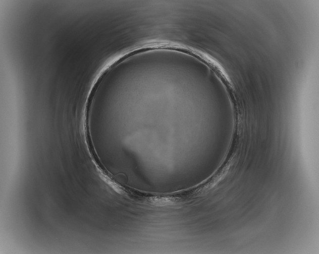 X0000116631231200912181318