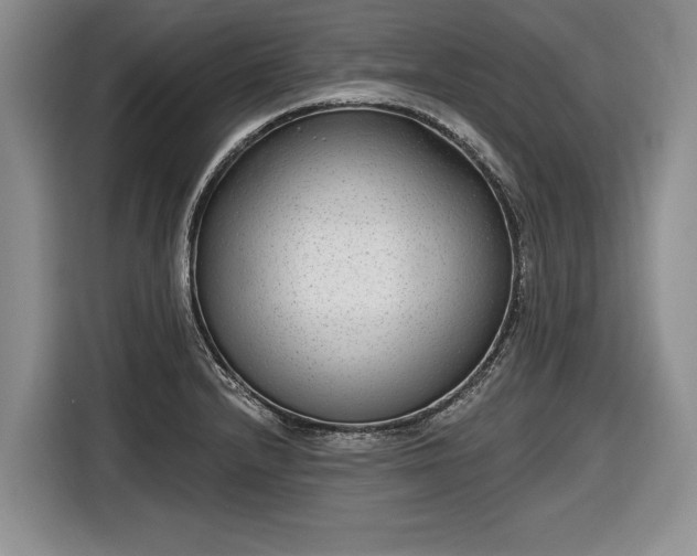 X0000116631232200912181318