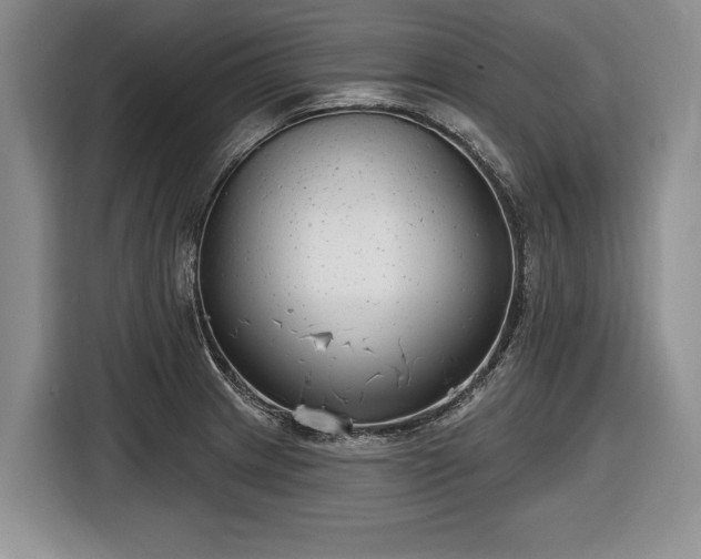 X0000116631233200912181318