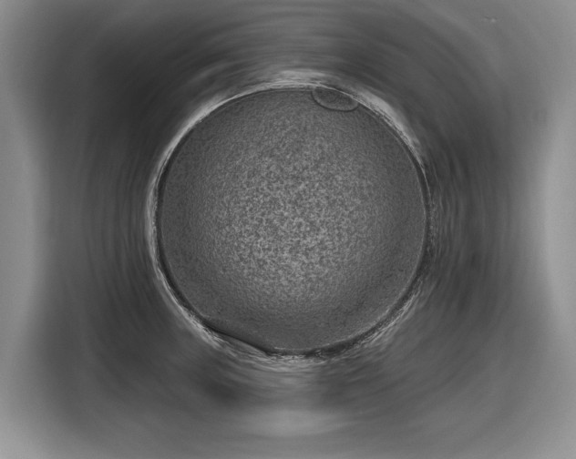 X0000116631235200912181318