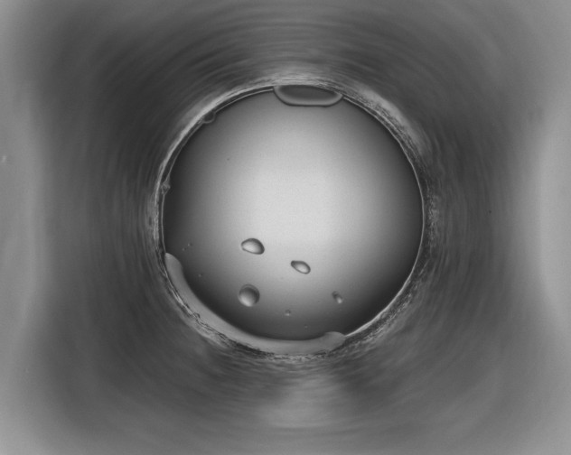 X0000116631236200912181318