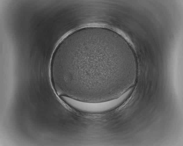 X0000116631237200912181318