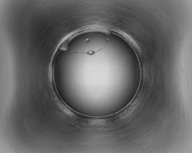 X0000116631238200912181318