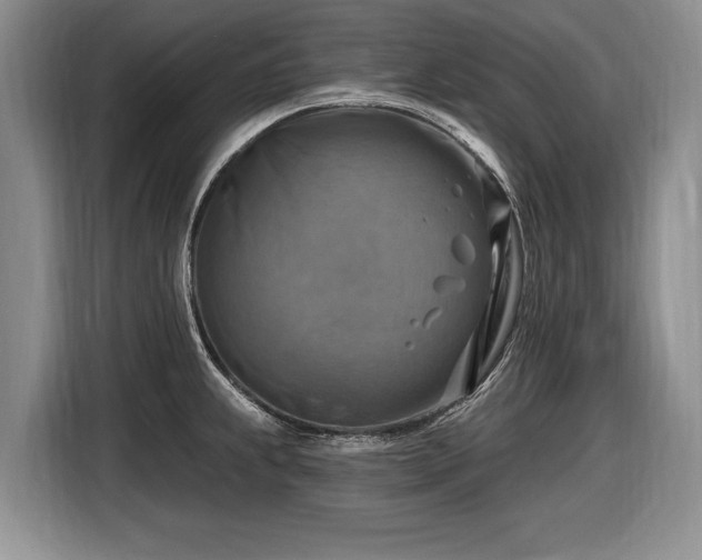 X0000116631239200912181318