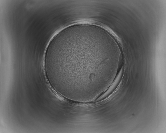 X0000116631240200912181318