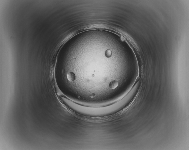 X0000116631241200912181318