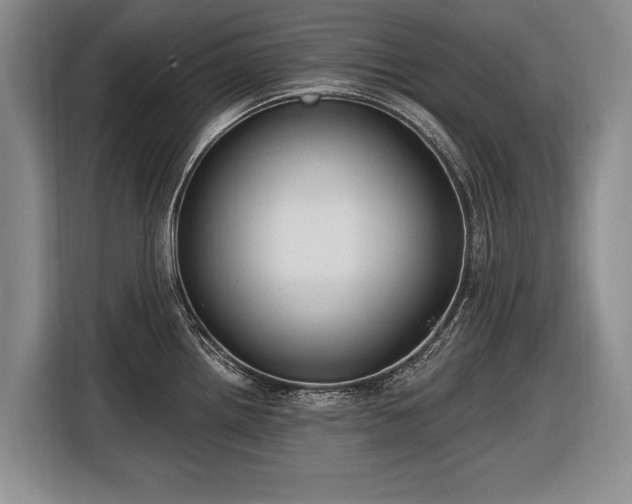 X0000116631242200912181318