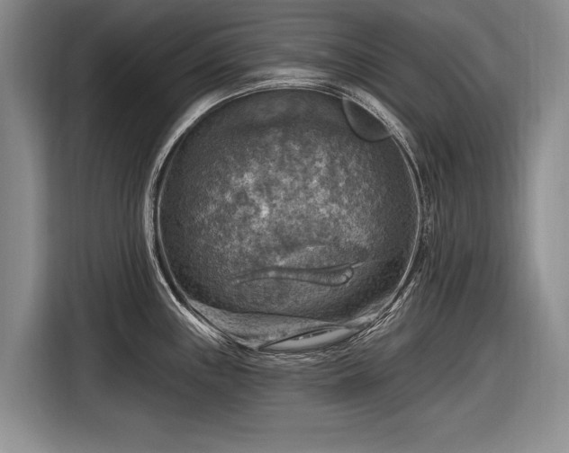 X0000116631243200912181318