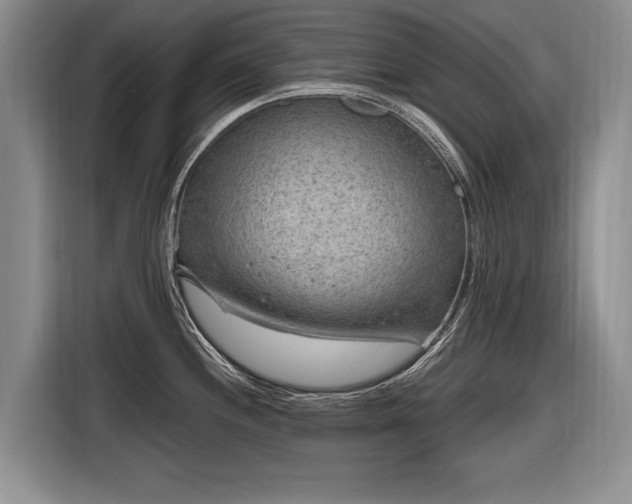 X0000116631244200912181318