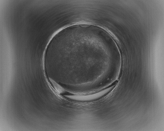 X0000116631246200912181318