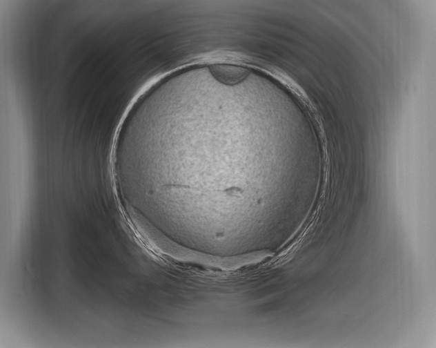 X0000116631248200912181318