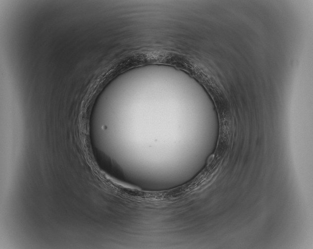 X0000116631249200912181318