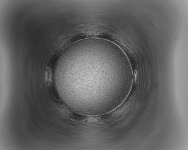 X0000116631251200912181318