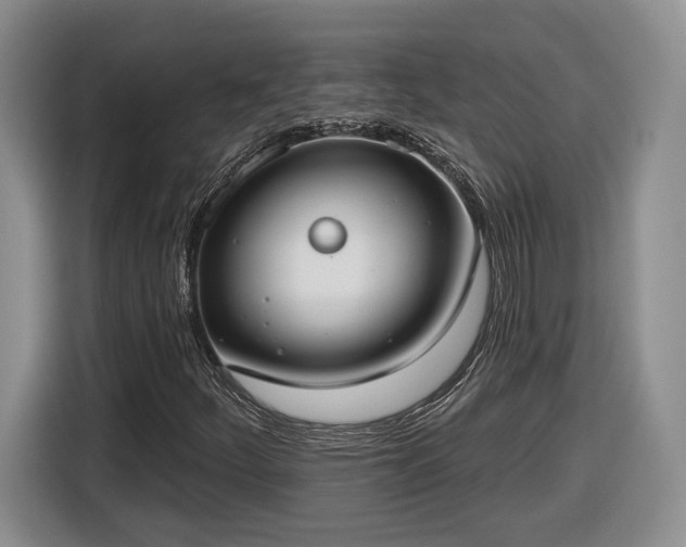 X0000116631252200912181318