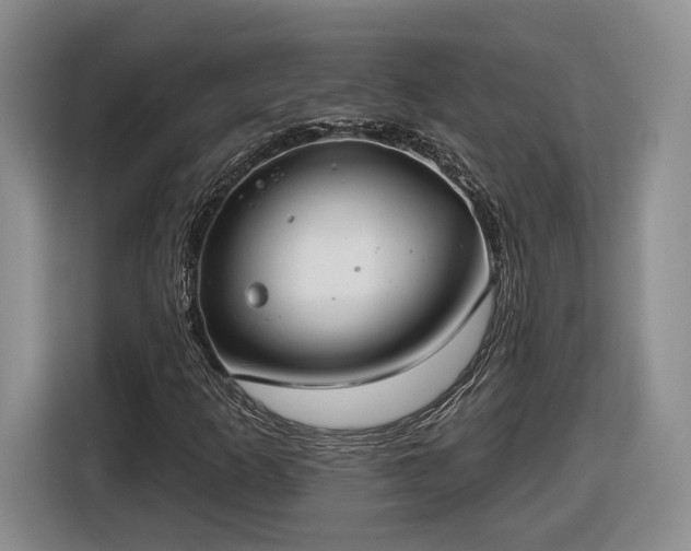 X0000116631253200912181318