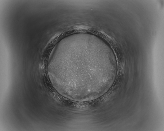 X0000116631254200912181318