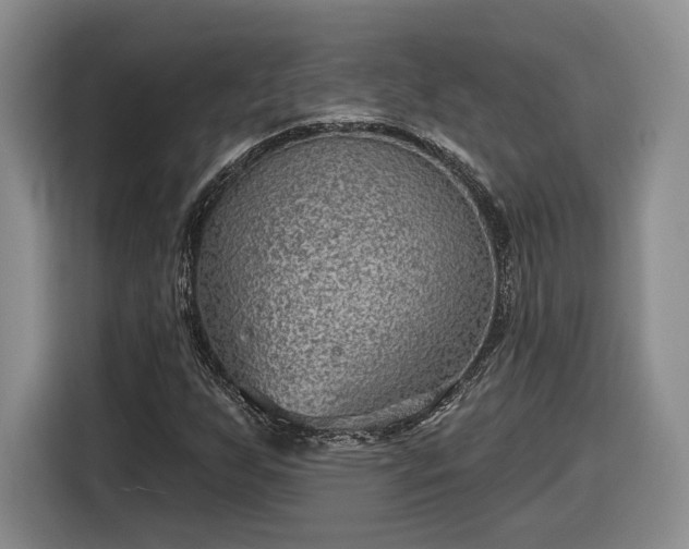 X0000116631255200912181318