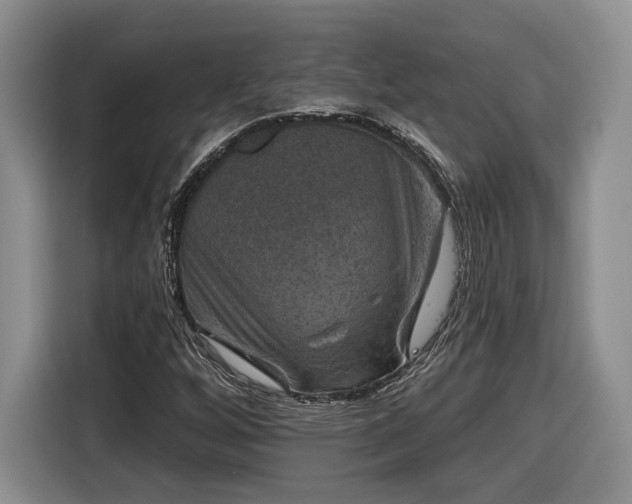 X0000116631256200912181318