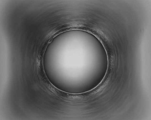 X0000116631257200912181318