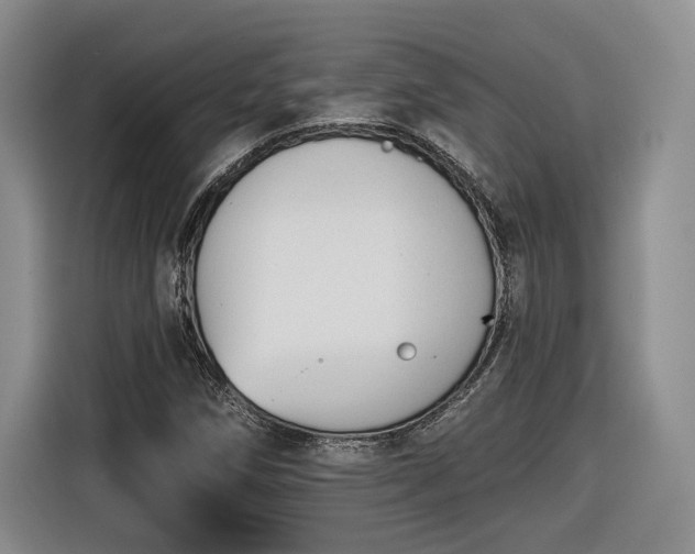 X0000116631258200912181318