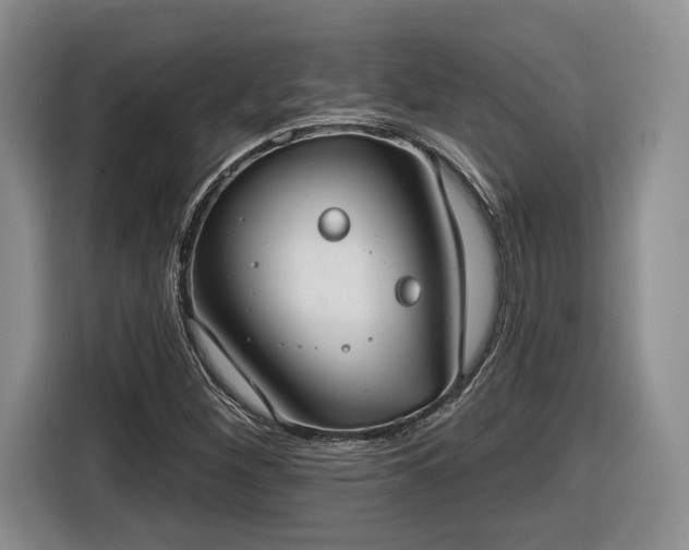 X0000116631260200912181318