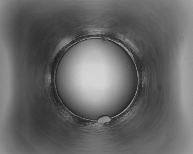 X0000116631261200912181318