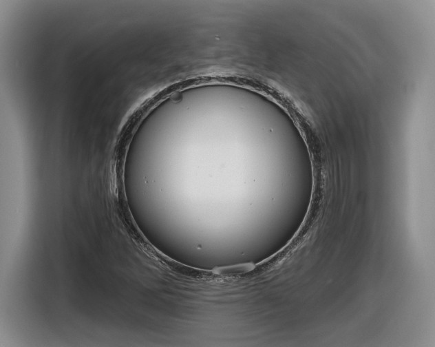 X0000116631262200912181318