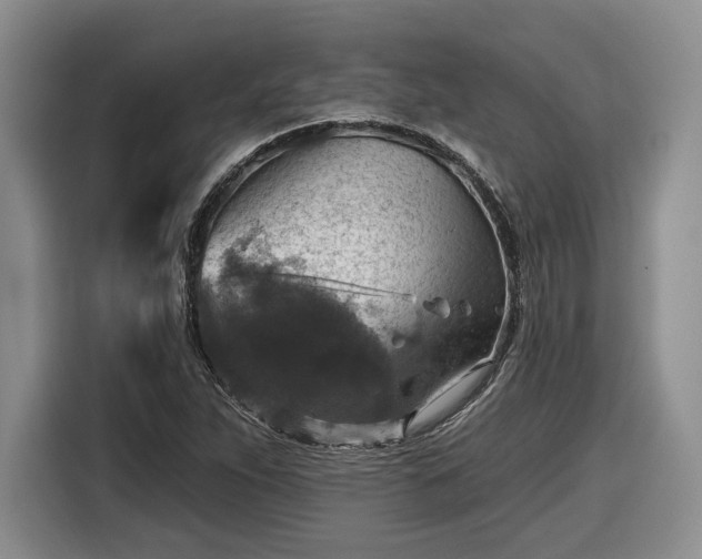 X0000116631263200912181318