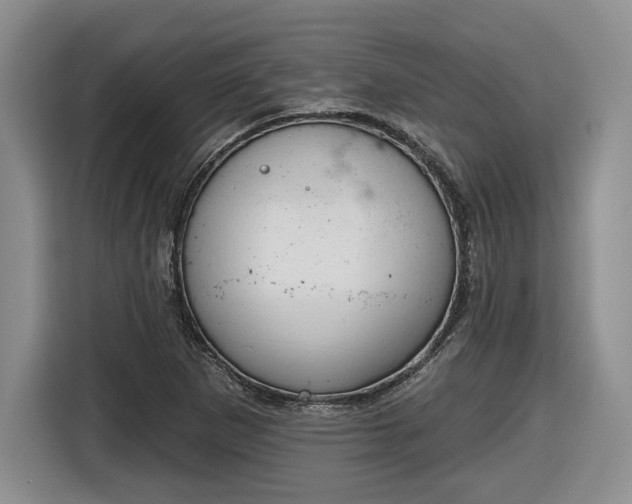 X0000116631265200912181318