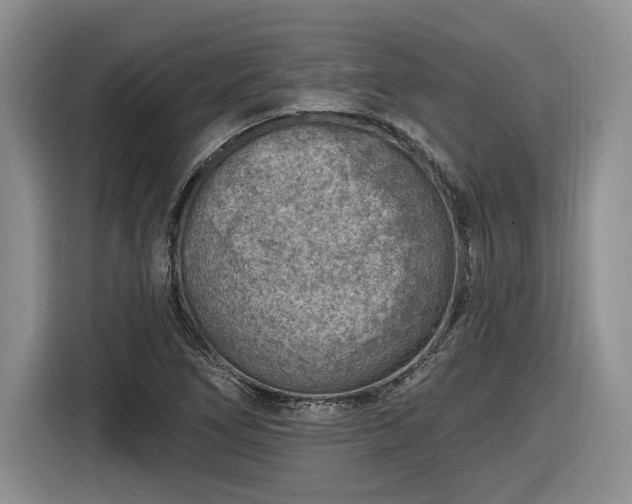 X0000116631266200912181318