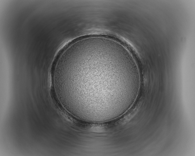 X0000116631267200912181318