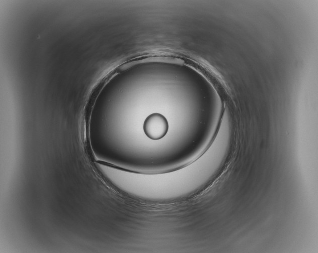 X0000116631269200912181318