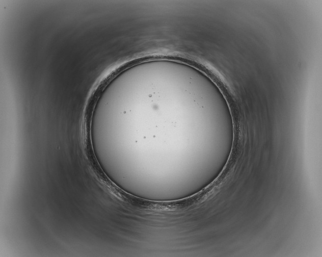 X0000116631270200912181318