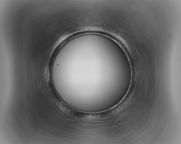 X0000116631271200912181318