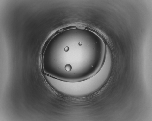 X0000116631272200912181318