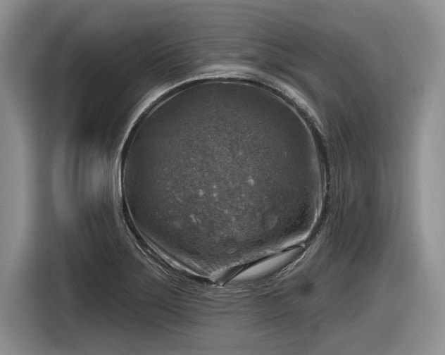 X0000116631275200912181318