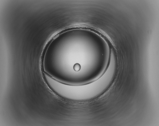 X0000116631277200912181317