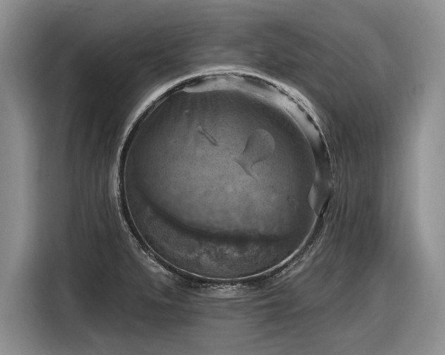 X0000116631279200912181317