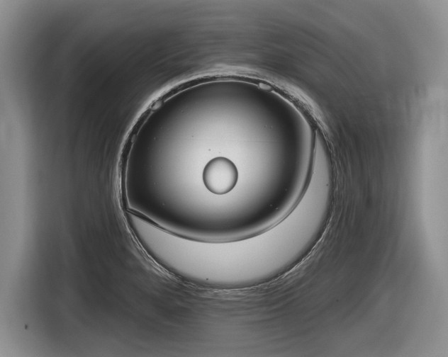 X0000116631280200912181317