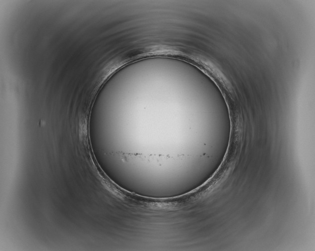 X0000116631281200912181317